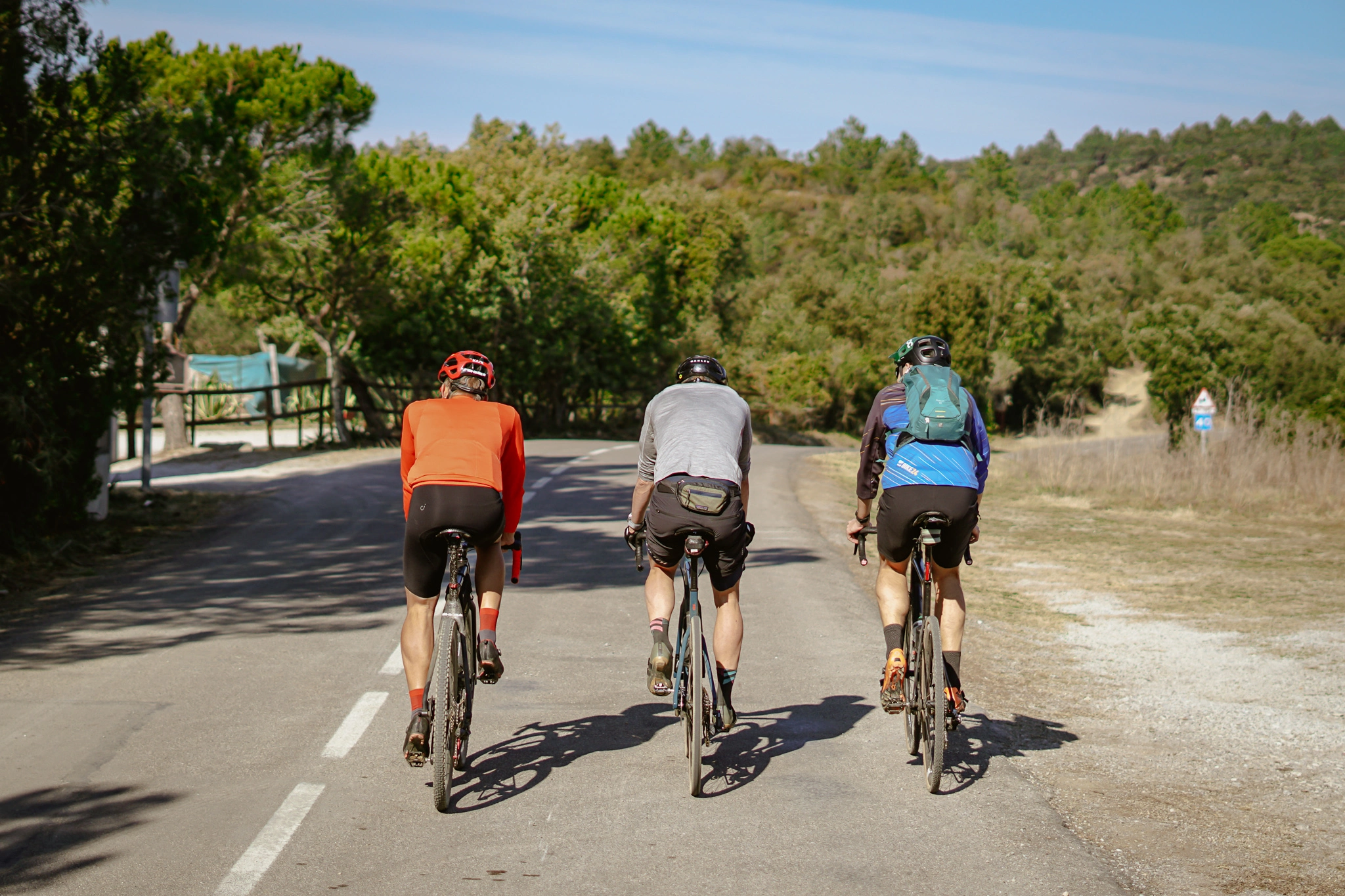 Cykellygter salg -Cykellygter salg 278398957 5517759091582295 6036783050421148245 n